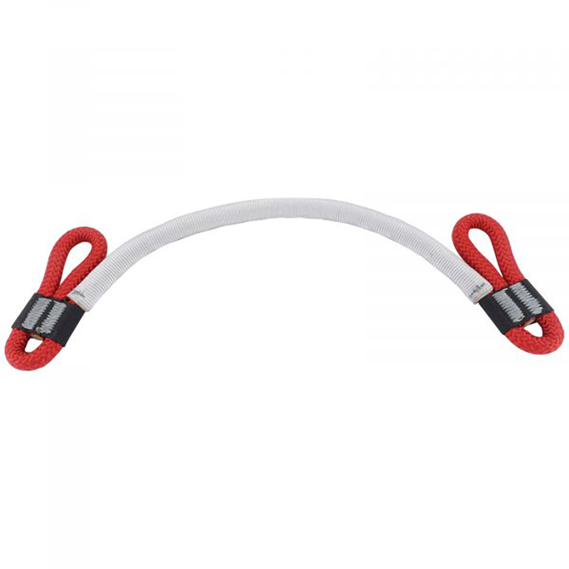 Bridge with Side Loops